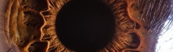 Fotógrafo captura impresionantes imágenes del ojo humano